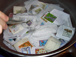 Die Briefmarken kommen in einen Topf mit heißem Wasser.